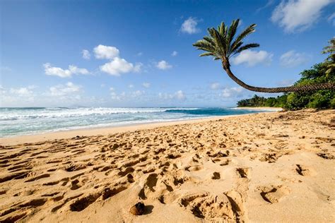 11 Best North Shore Oahu Beaches In Hawaii 11 Best North Shore Oahu Beaches In Hawaii