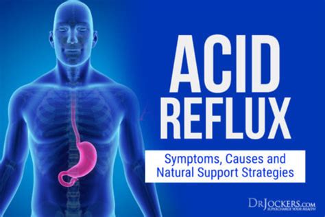Acid Reflux Symptoms Causes And Natural Support Strategies Acid Reflux Symptoms Causes And Natural Support Strategies