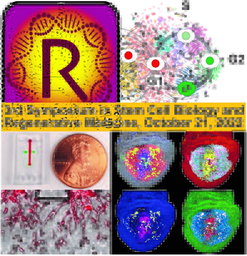 Asu 5Th Regenerative Medecine Symposium: Advances In Therapies