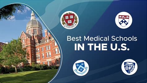Best Medical Schools In America Business Insider Best Medical Schools In America Business Insider
