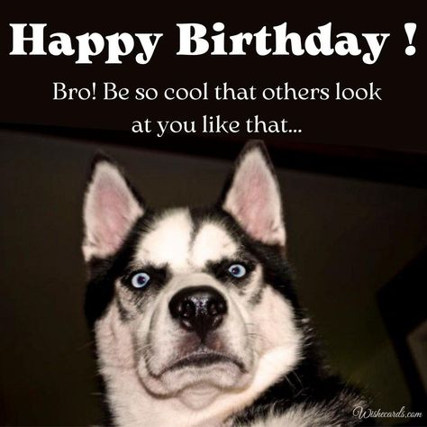 Origin Of The Phrase: Brother Funny Happy Birthday Explained