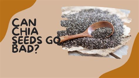 Chia Seeds Freshness: Can Chia Seeds Go Bad - A Definitive Guide