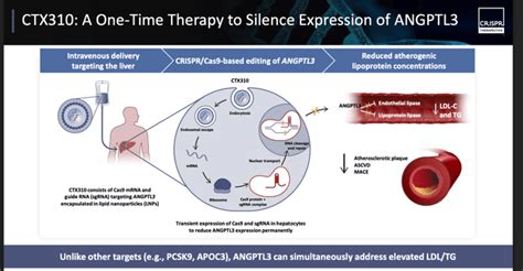 Crispr Therapeutics Shares Are Soaring This Could Be The Start Of Something Big Crsp Seeking Alpha Crispr Therapeutics Shares Are Soaring This Could Be The Start Of Something Big Crsp Seeking Alpha