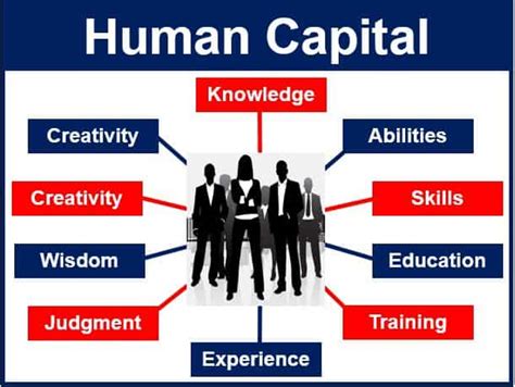 Define Human Capital In Turkey: A Data-Driven View Of The Workforce