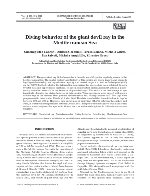 Devil Ray In Mediterranean Sea: Habitat, Behavior, And Conservation