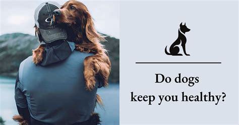 Do Dogs Keep You Healthy Exploring The Benefits Of Canine Do Dogs Keep You Healthy Exploring The Benefits Of Canine