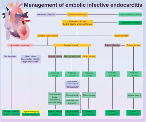 Embolic Risk Management In Infective Endocarditis Predicting The Embolic Roulette Open Heart Embolic Risk Management In Infective Endocarditis Predicting The Embolic Roulette Open Heart