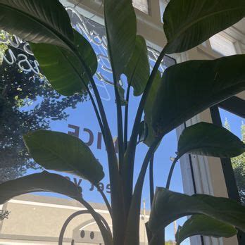 Haruki Lash Studio Updated October 2024 169 Photos Amp 56 Reviews Haruki Lash Studio Updated October 2024 169 Photos Amp 56 Reviews