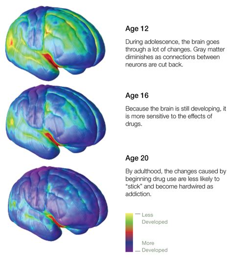 How Substance Use Affects Brain Development In Teens