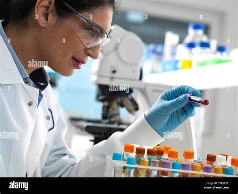 Lab Technician Preparing A Variety Of Human Samples For Medical Testing In The Laboratory Stock Photo