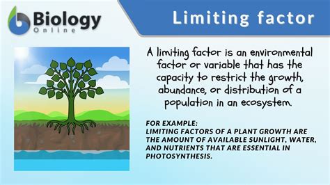 Limiting Factors For Shrublands: Key Drivers And Impacts
