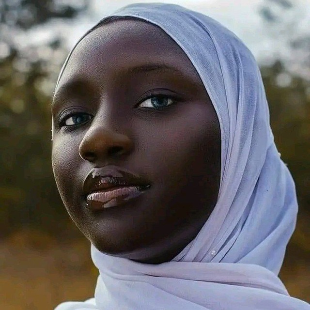 Unveiling the World of Orangebirdz Videos