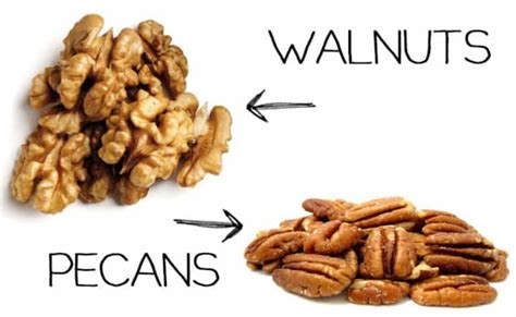 Pecan Nuts Vs Walnuts: Pecan Nuts Vs Walnuts, Nutrition And Flavor