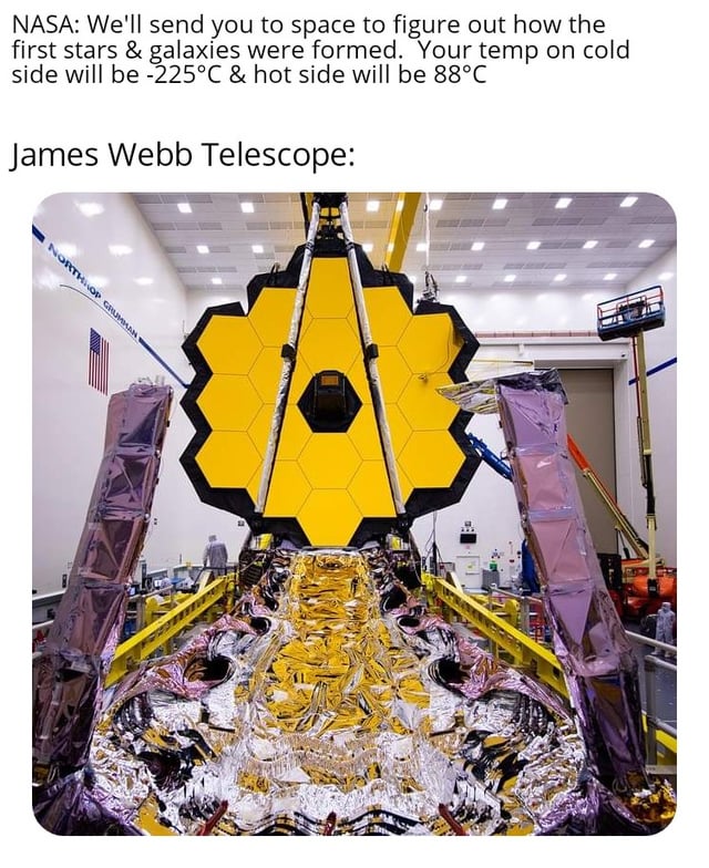 Piper Perri Surrounded By 5 Black Guys Is Making A Resurgence Invest Quickly But Carefully R Memeeconomy