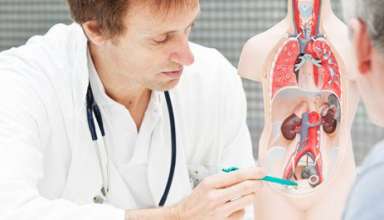 Reproductive Healths 3350104