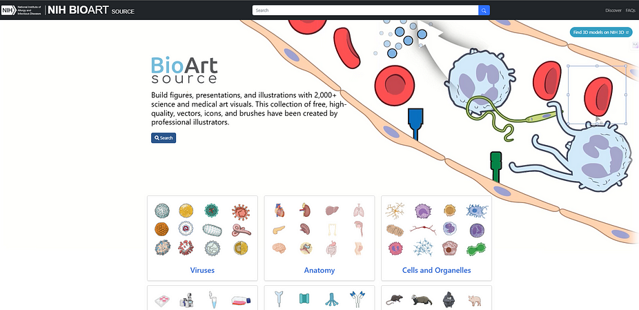 Scientific Image And Illustration Software Biorender Scientific Image And Illustration Software Biorender