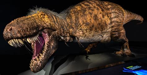 What A Scientifically Accurate T Rex Tells Us About Dinosaur Life