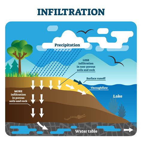 Surface Water And Infiltration Process Steemit