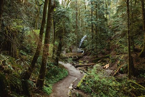 The 21 Most Haunted Hikes In The Pacific Northwest The Mandagies The 21 Most Haunted Hikes In The Pacific Northwest The Mandagies