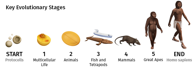 Visualized The 4 Billion Year Path Of Human Evolution Canada News Media Visualized The 4 Billion Year Path Of Human Evolution Canada News Media