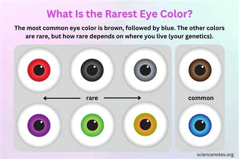 What Is The Rarest Eye Color Blog Eyebuydirect What Is The Rarest Eye Color Blog Eyebuydirect
