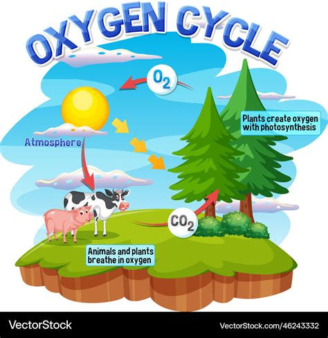 Origins Of What To Say About Oxygen: A Concise History