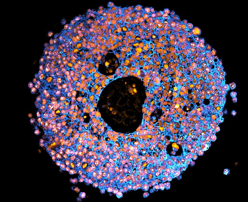 When You Smell Poop Is That Because Poop Molecules Have Entered Your Nose Iflscience