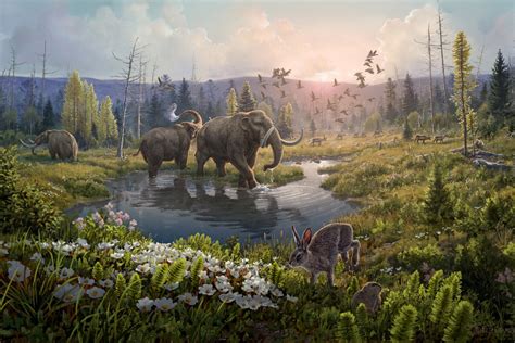 World S Oldest Dna Discovered Revealing Ancient Arctic Forest Full Of Mastodons Scientific American